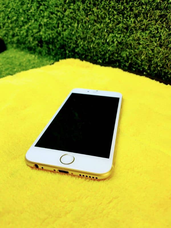 Iphone 6 10/10 Condition Official PTA Approved Golden Colour 10