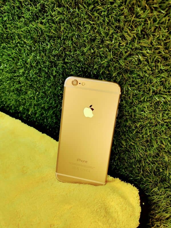 Iphone 6 10/10 Condition Official PTA Approved Golden Colour 12