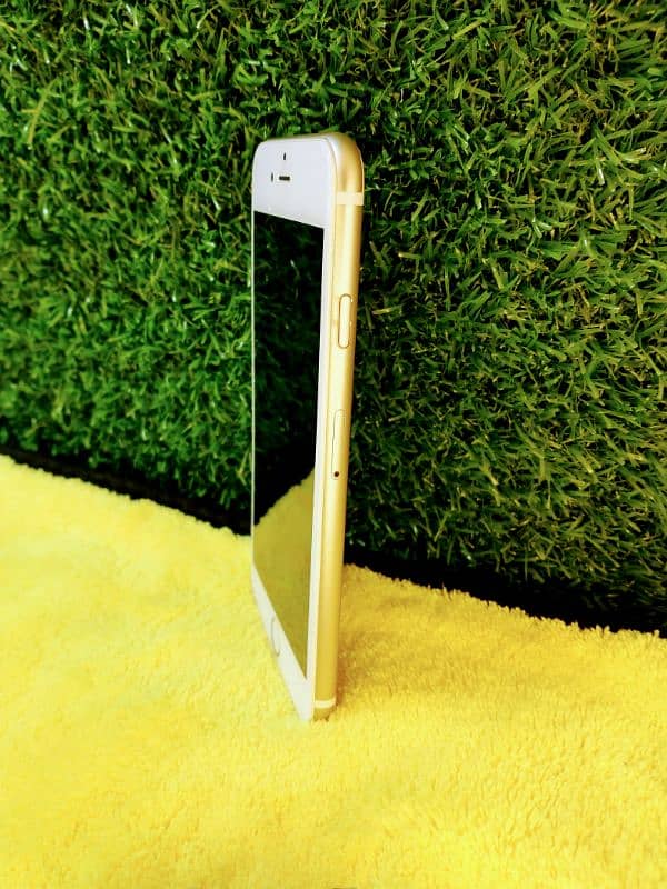 Iphone 6 10/10 Condition Official PTA Approved Golden Colour 14