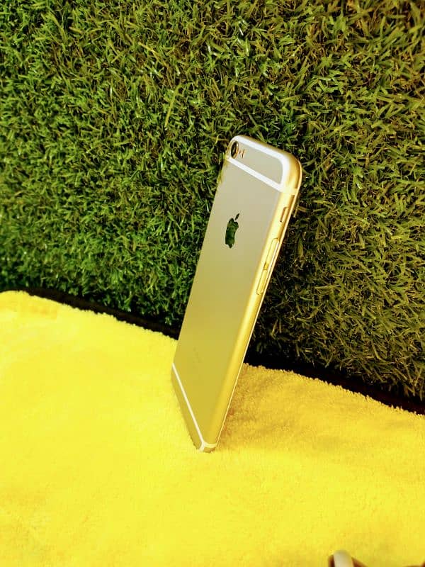 Iphone 6 10/10 Condition Official PTA Approved Golden Colour 16