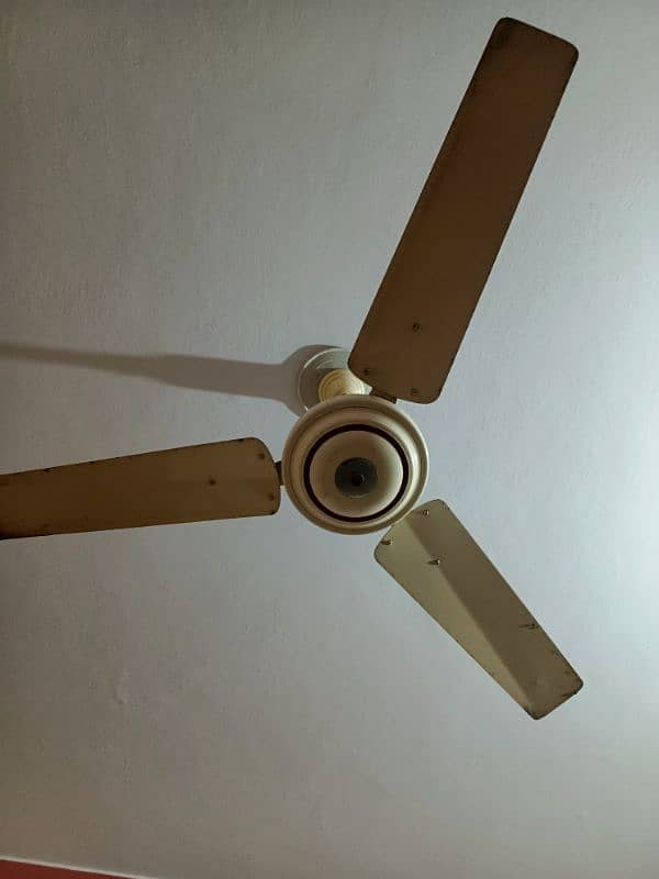 Pell Celling Fan 1