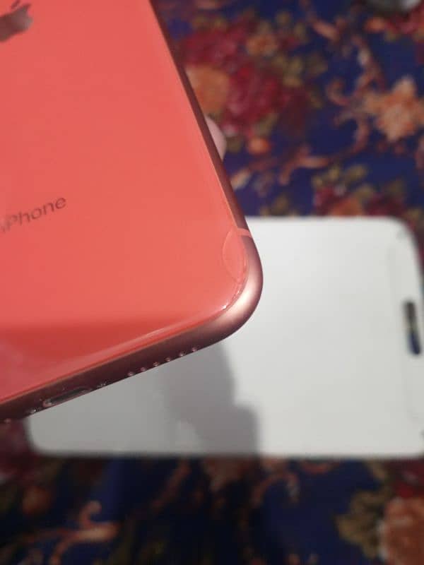 iPhone XR 64 GB 13