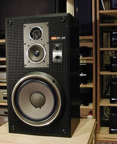 Sony SS-G3, 10 inch three way audiophile grade speakers