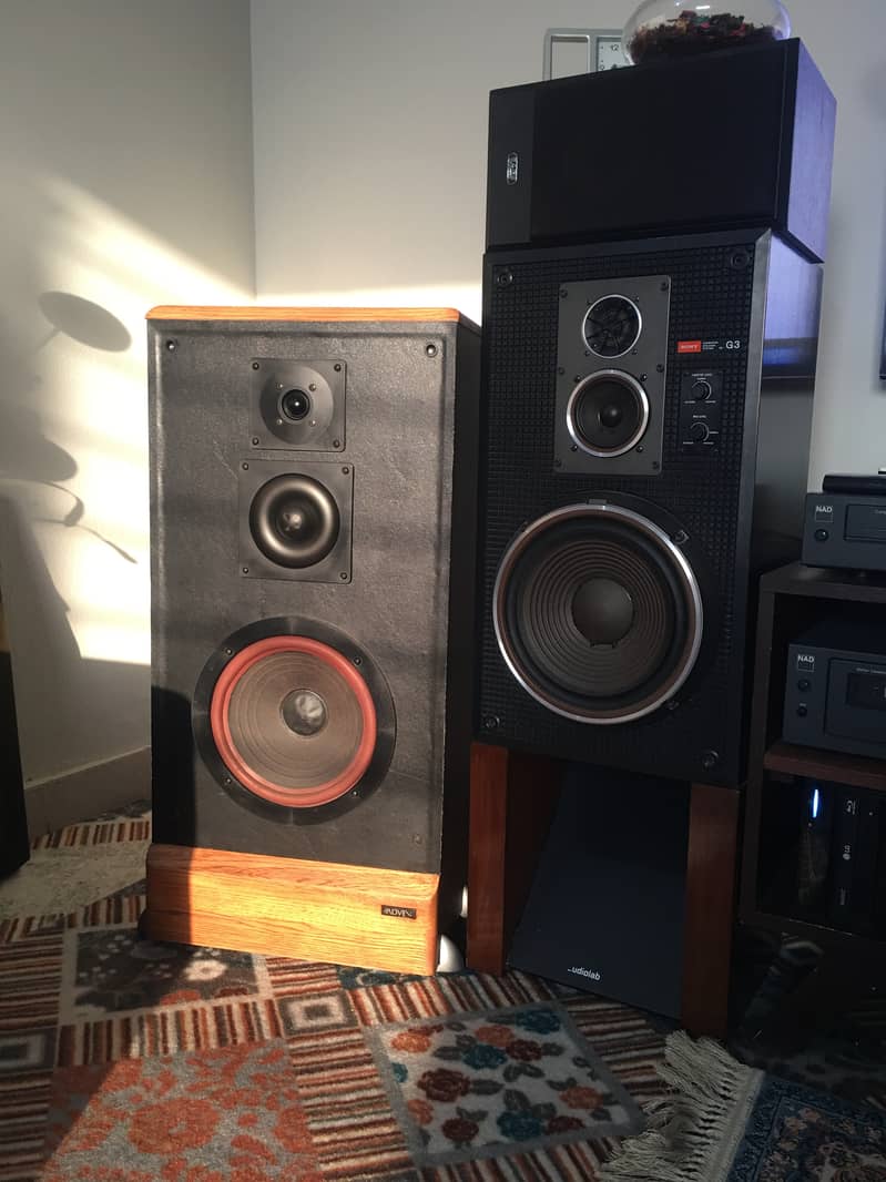 Sony SS-G3, 10 inch three way audiophile grade speakers 2