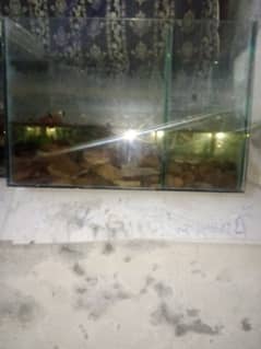 great condition aquarium