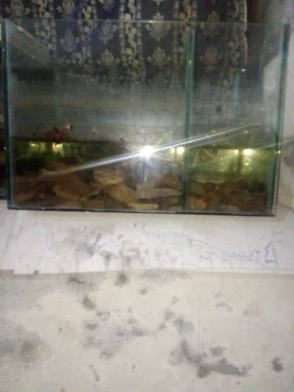 great condition aquarium 0