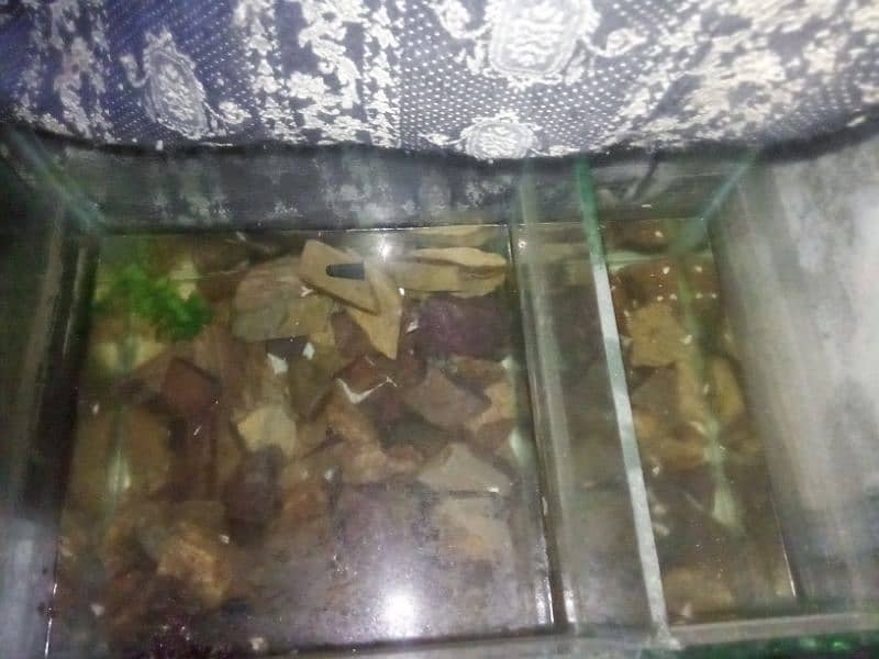 great condition aquarium 1