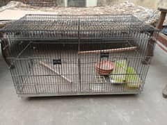 parrot cage for sale