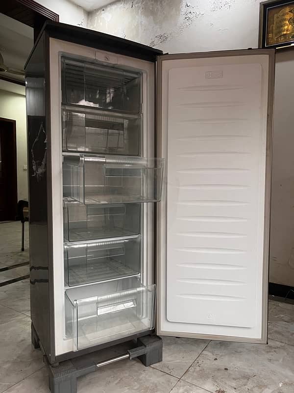 Signature Deep Freezer 2