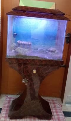 fish aquarium