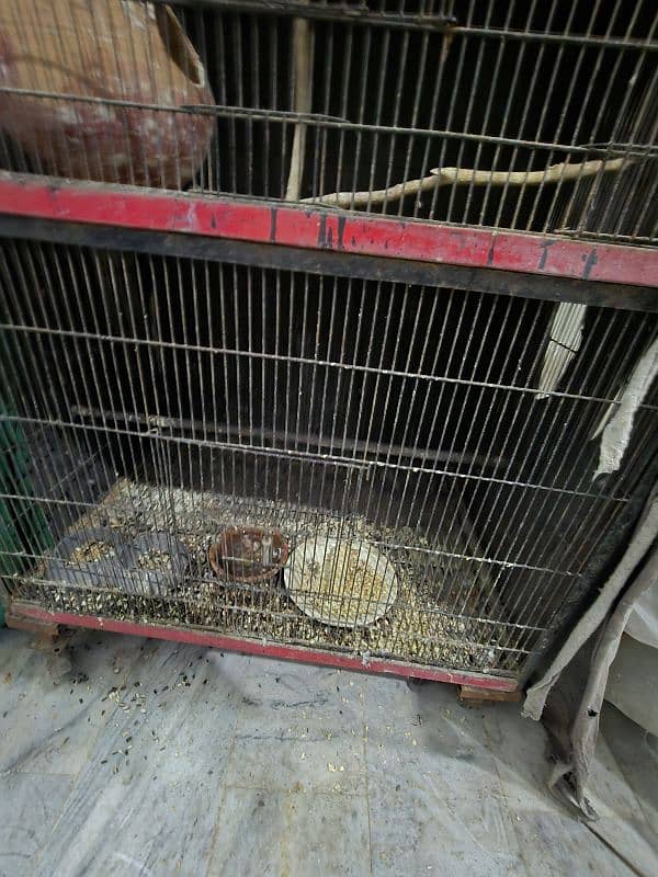 Cage for sale 3