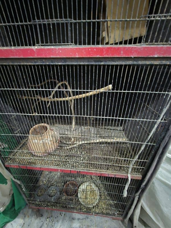 Cage for sale 4