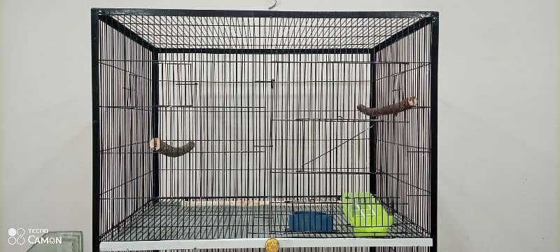 Birds cage's for sale 1