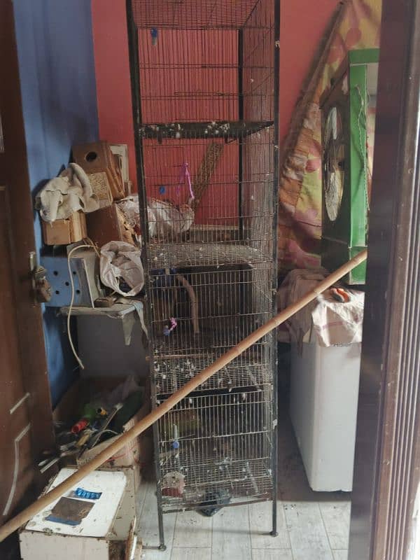 Birds cage's for sale 2