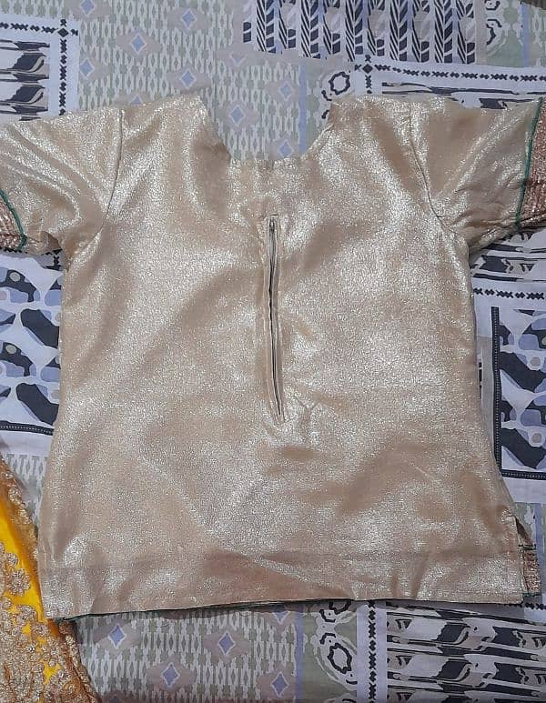 Net and Silk dress for SALE 5