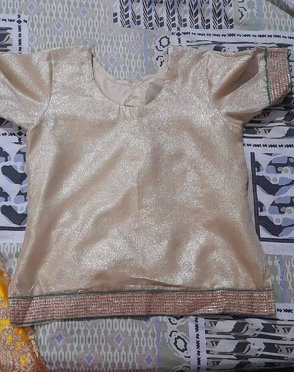 Net and Silk dress for SALE 6