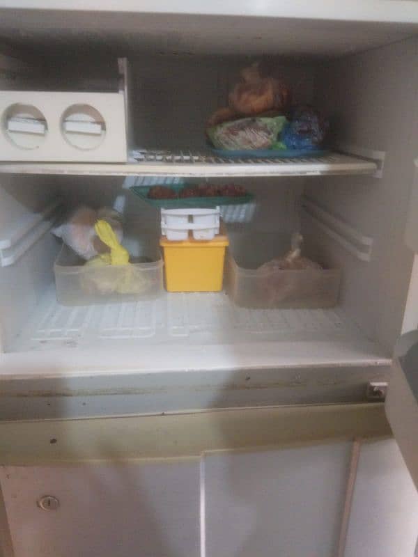 Pel fridge for sale 1