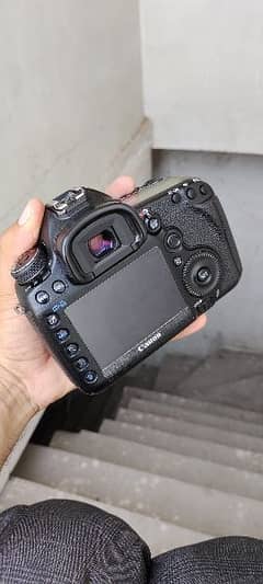 5D