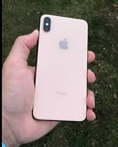 Apple iPhone XS 0