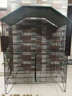 Birds Cage