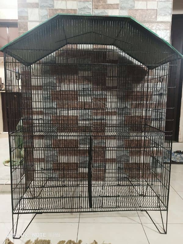 Birds Cage 0