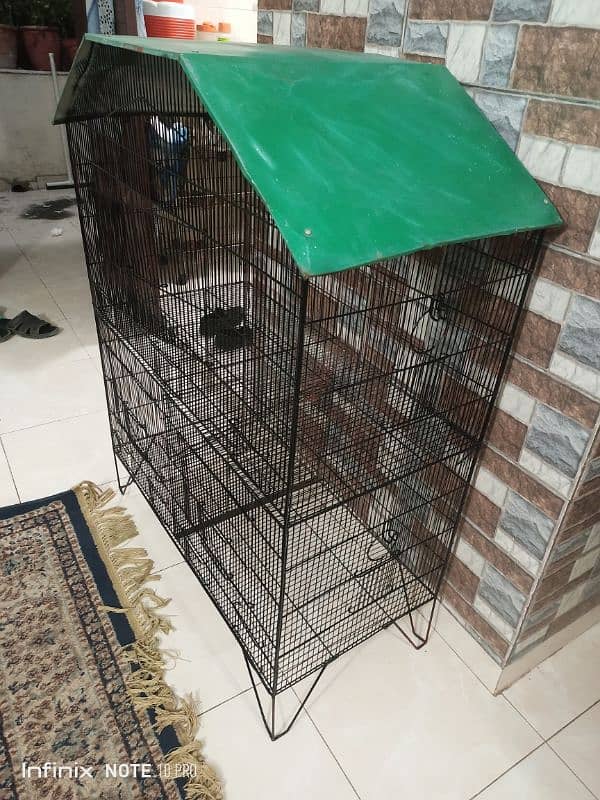 Birds Cage 2