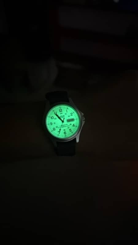 seiko Japanese Watch lume dial 2