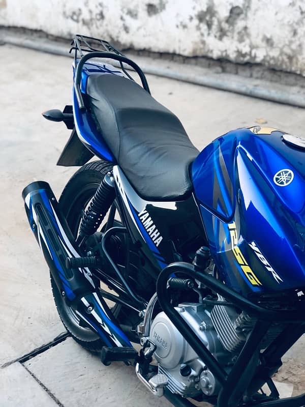 Yamaha YBR G 125cc Blu Beauty 15