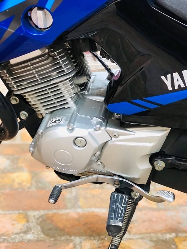 Yamaha YBR G 125cc Blu Beauty 16