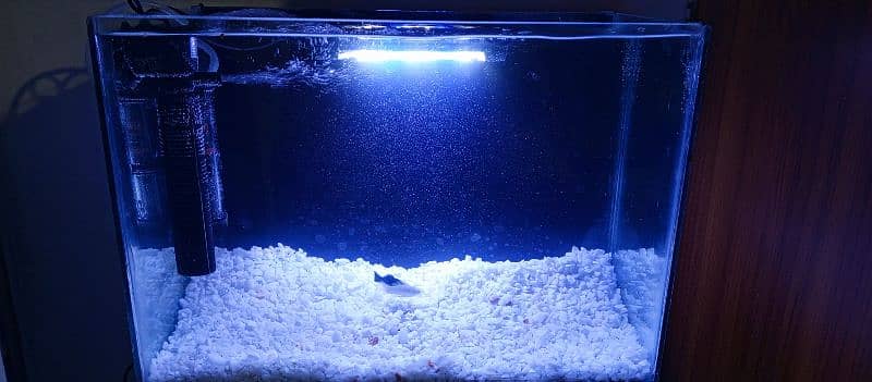 1.5 feet brand new aquarium for sale with all accesories and fish 3