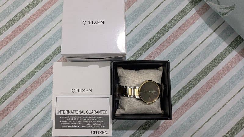 Citizen ECO Drive metal band 1