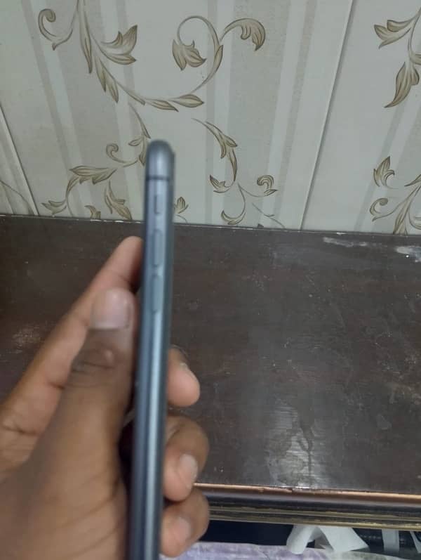 iphone 11 pta 2