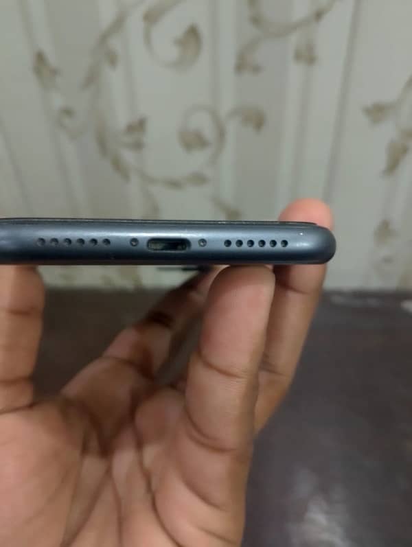 iphone 11 pta 3