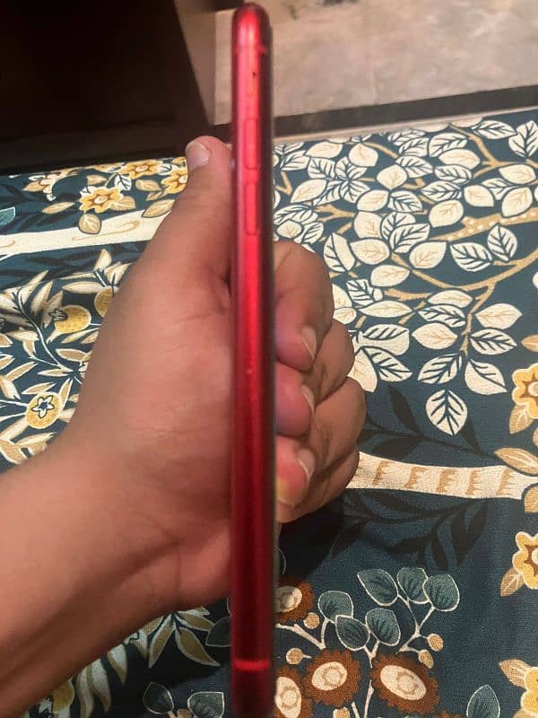 Iphone 11 Red Colour 2