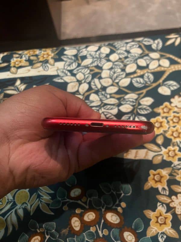 Iphone 11 Red Colour 4