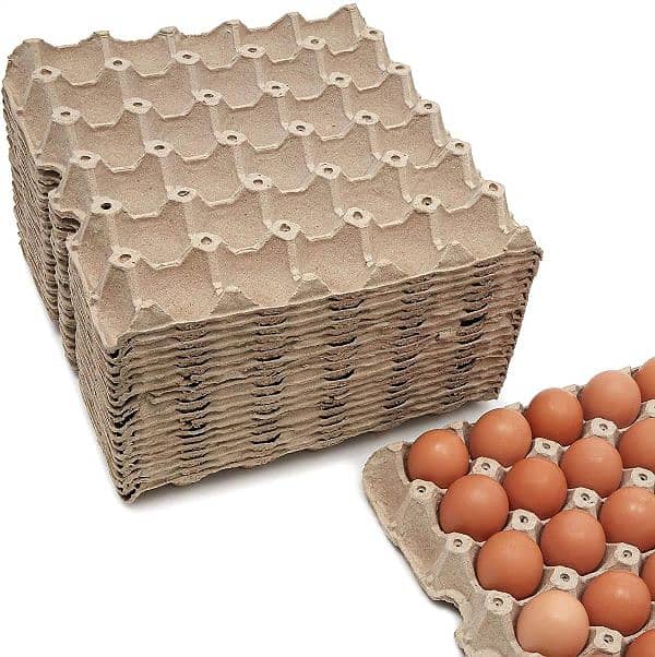 Egg tray Limited stock 3