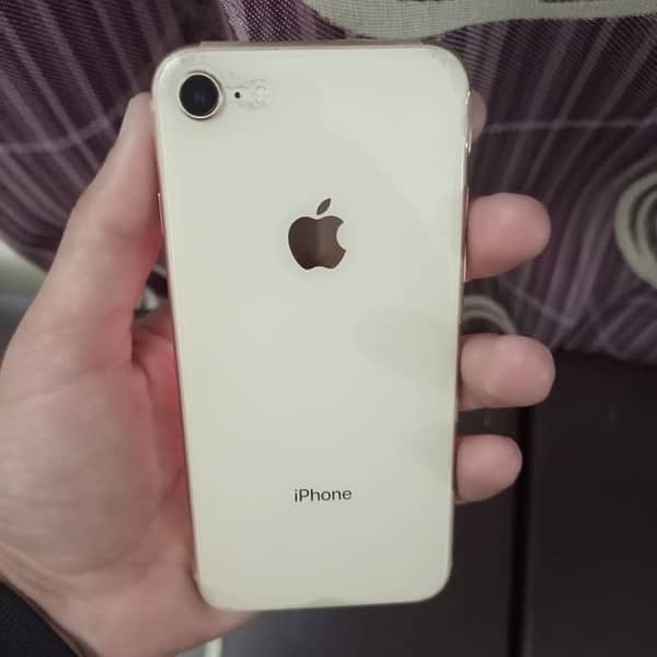 IPhone 8 Officially Pta Approved 0