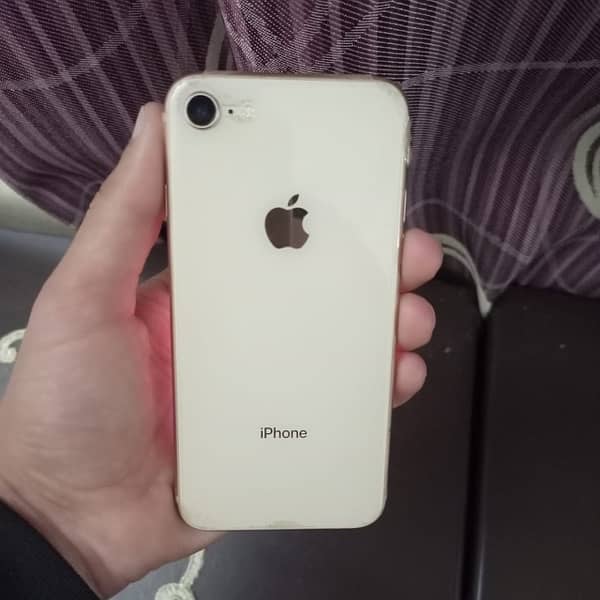 IPhone 8 Officially Pta Approved 6