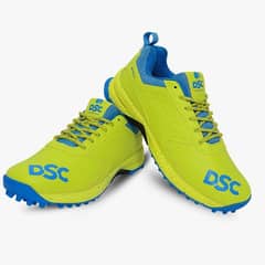 DSC jaffa 22 cricket shoes (41 size)