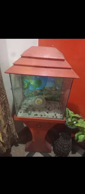 fish Aquarium 1