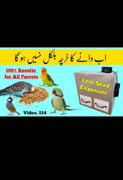 Birds Swings / Stands & Accessories