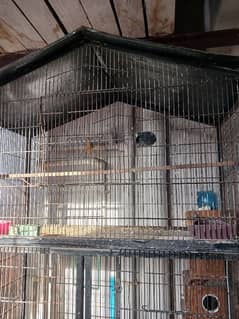 Cage & boxes for sale