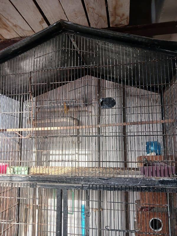 Cage & boxes for sale 0