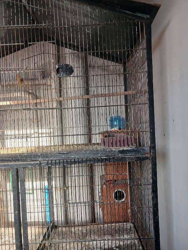 Cage & boxes for sale 1