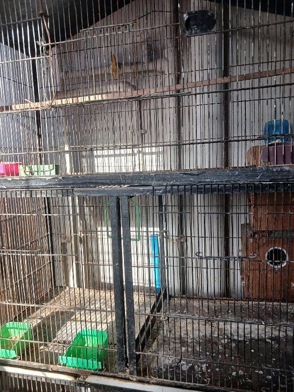 Cage & boxes for sale 3