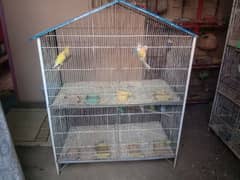 3 portions lovebird cage, parblue,blue opaline for sale