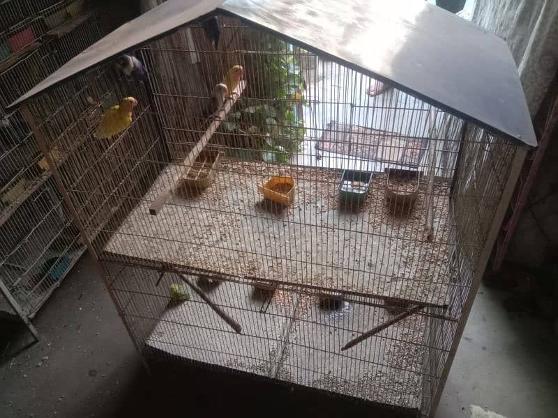 3 portions lovebird cage, parblue,blue opaline for sale 1