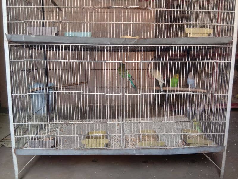 3 portions lovebird cage, parblue,blue opaline for sale 3