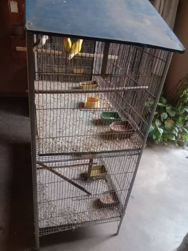 3 portions lovebird cage, parblue,blue opaline for sale 4