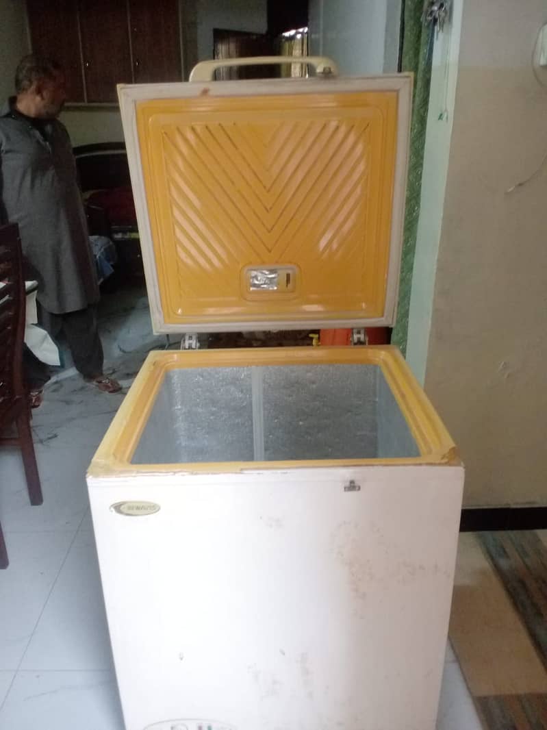 Waves deep freezer for sale 1